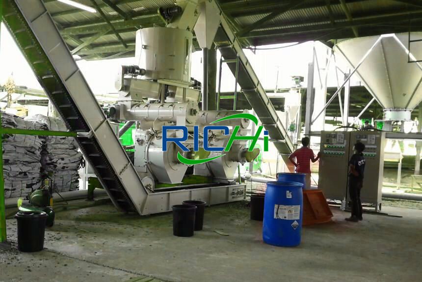 rice husk pellet fuel plant